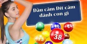 Thống kê đầu câm, đít câm để dự đoán kết quả xổ số